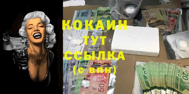 COCAIN Fish Scale  закладки  Ковылкино 